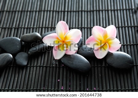 pink frangipani with black stones on mat pink frangipani with black stones on mat
