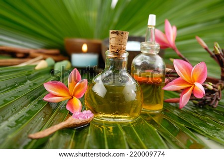Set for tropical spa and palm leaf texture