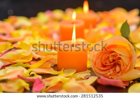 Orange rose with many rose petals with candle