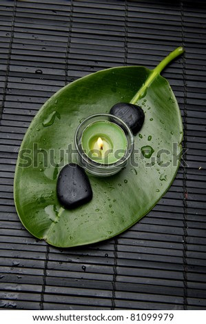 green candles and spa stone on green wet leaf background