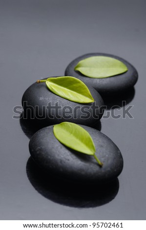 Still life with zen stones and green leaf