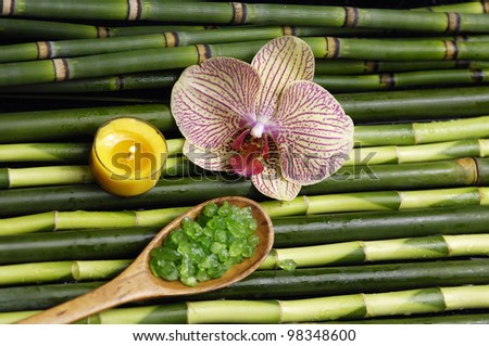 salt in on wooden spoon with orchid and candle on bamboo grove