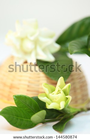 white common gardenia or cape jasmine white bamboo basket