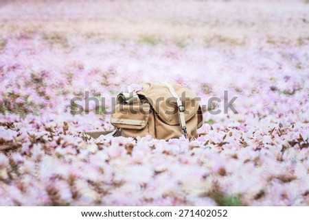 Camera bag on the blurred pink flower background