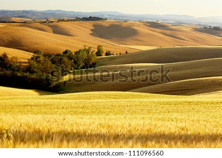 Tuscany landscape with typical farm house on a hill in Val d'Orcia, Italy
