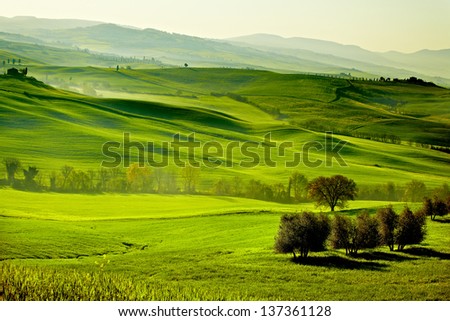 Countryside, San Quirico D`Orcia , Tuscany, Italy