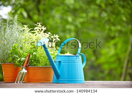 concept of gardening and hobby