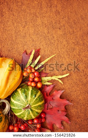 Autumn mini pumpkins, berries, chestnuts and dry flowers over orange  background