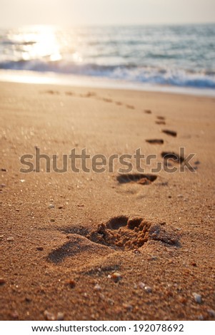 Footprints on the beach sand.Traces on the beach. Footsteps on the beach by the sea in summer