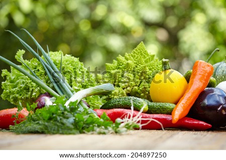 Vegetables on wood table in garden