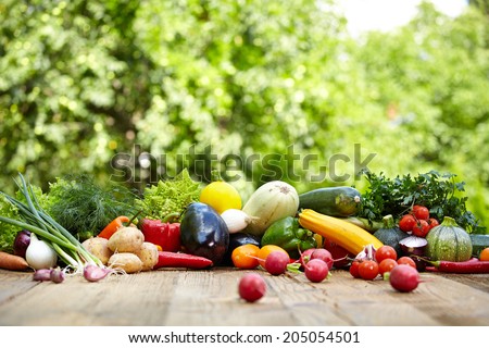 Fresh organic vegetables ane fruits on wood table in the garden