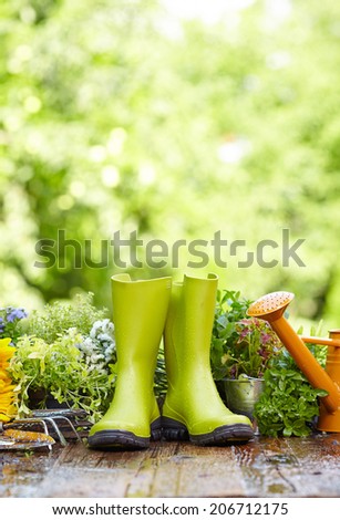 Rubber boots with watering can in wood terrace
