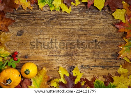 Thanksgiving Autumn Fall background with red, brown and yellow leaves and pumpkin
