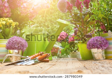 Gardening tools and flowers  on the terrace in the garden