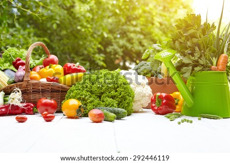 Fresh organic vegetables and fruits on wood table in the garden