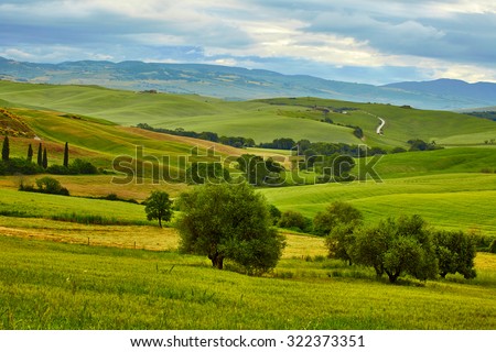 Tuscany, rural sunset landscape. Countryside farm, cypresses trees, green field, sun light and cloud.