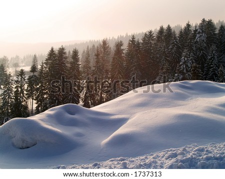 Winter gold landscape