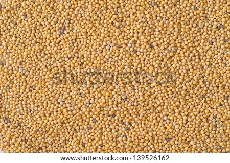 mustard seed background