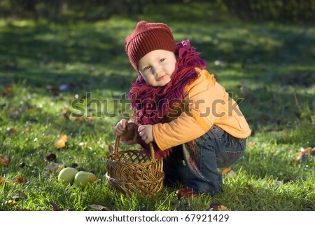 The girl collects apples in a basket