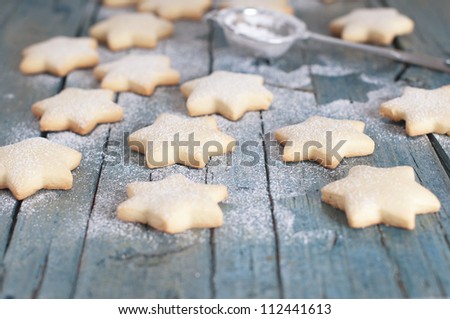 Homemade Christmas cookie with confectioner\'s sugar