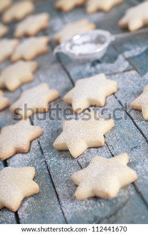 Homemade Christmas cookie with confectioner\'s sugar