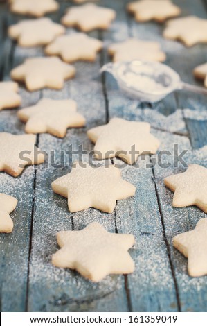 Homemade Christmas cookie with confectioner\'s sugar, retro style