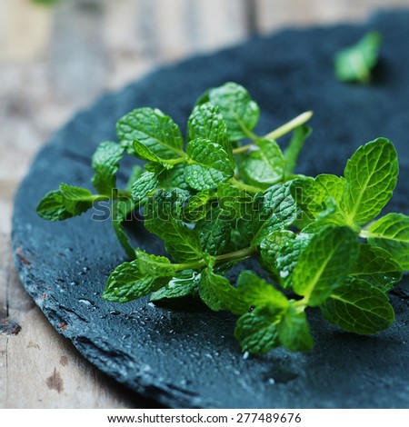 Fresh green mint on the wooden table, selective focus and square image