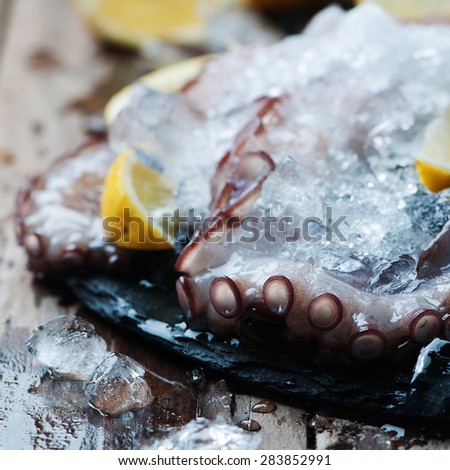 Uncooked octopus with ice and lemon, selective focus and square image