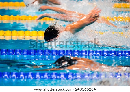 Butterfly men swimming race on swimming pool