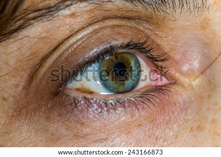 Close up of a middle age  woman green eye and skin aging