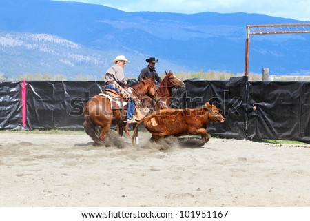 MERRITT, B.C. CANADA - MAY 5: Cowboy during the cutting horse event at The Merritt Cutting Horse Show May 5, 2012 in Merritt British Columbia, Canada