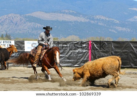 MERRITT, B.C. CANADA - MAY 5: unidentified Cowboy during the cutting horse event at The Merritt Cutting Horse Show May 5, 2012 in Merritt British Columbia, Canada