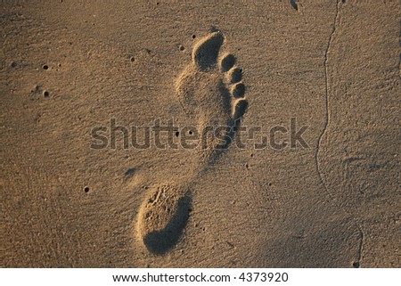 Human footprint in the sand on the beach