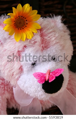 Soft pink Teddy bear with a pink butterfly on its nose and a flower behind its ear