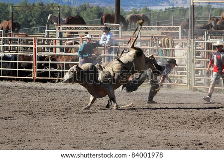 MERRITT, B.C. CANADA - SEPTEMBER 3: Cowboy during bull riding event at The 52nd Annual Pro Rodeo September 3, 2011 in Merritt British Columbia, Canada
