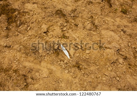 dirt background, brown dirt background with white feather