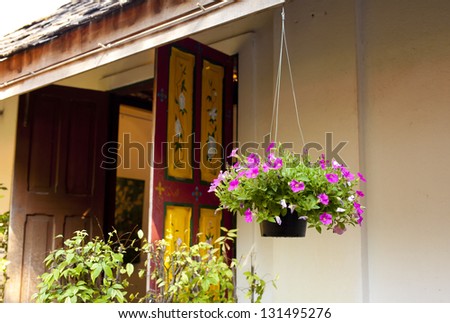 hanging flower pot, pink flower pot hanging by the yellow painted window