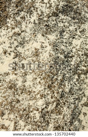 sea rock texture, sea rock texture with sand dust covering