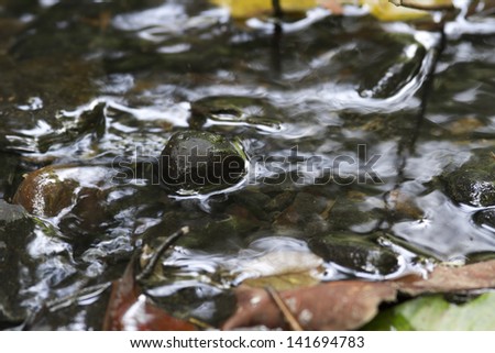 surface of water, surface of water with black rocks in the waterfall stream