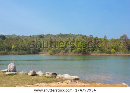 lake and forest, small lake and forest in nature