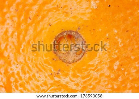 orange, close up macro of orange skin showing texture surface