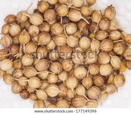 coriander seed, close-up to surface and texture of coriander seeds