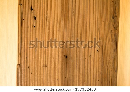 hard wood texture, cedar wood texture in light brown colour