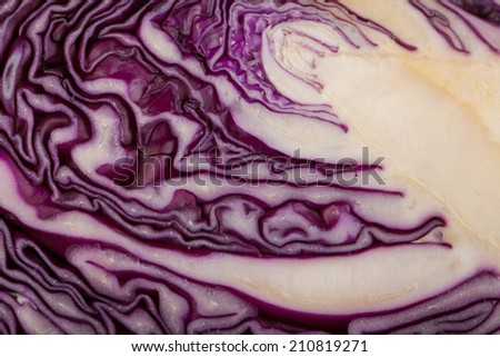 red cabbage, texture of cut red cabbage showing inside curly surface