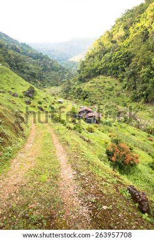 countryside, farmer house in countryside with agriculture and nature scape in Thailand