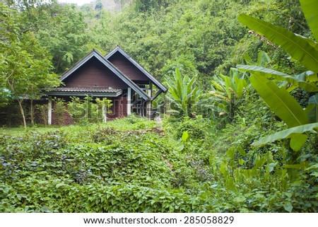 Forest house, a wood cottage style house located in the Thai tropical rainforest rural scene