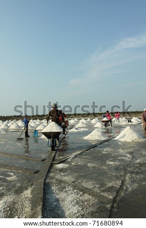 Salt pan and workers, salt pile in Thailand, salt pan.