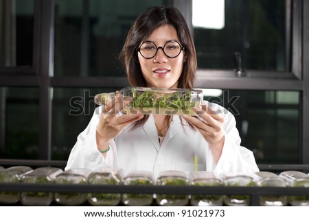 Lab work, Laboratory girl checking growth level of plants.