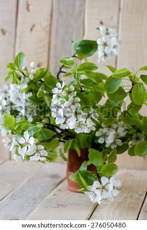 A bouquet of flowering branches of fruit trees on the unpainted wooden background