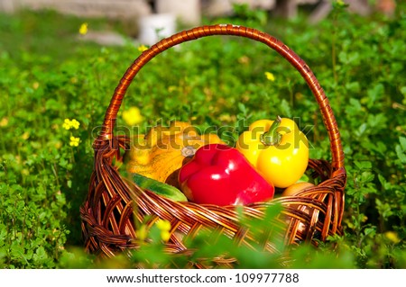 basket with fresh vegetables on a meadow